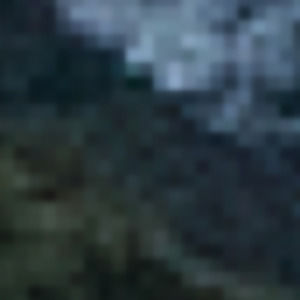 Meet your Posher, Jack